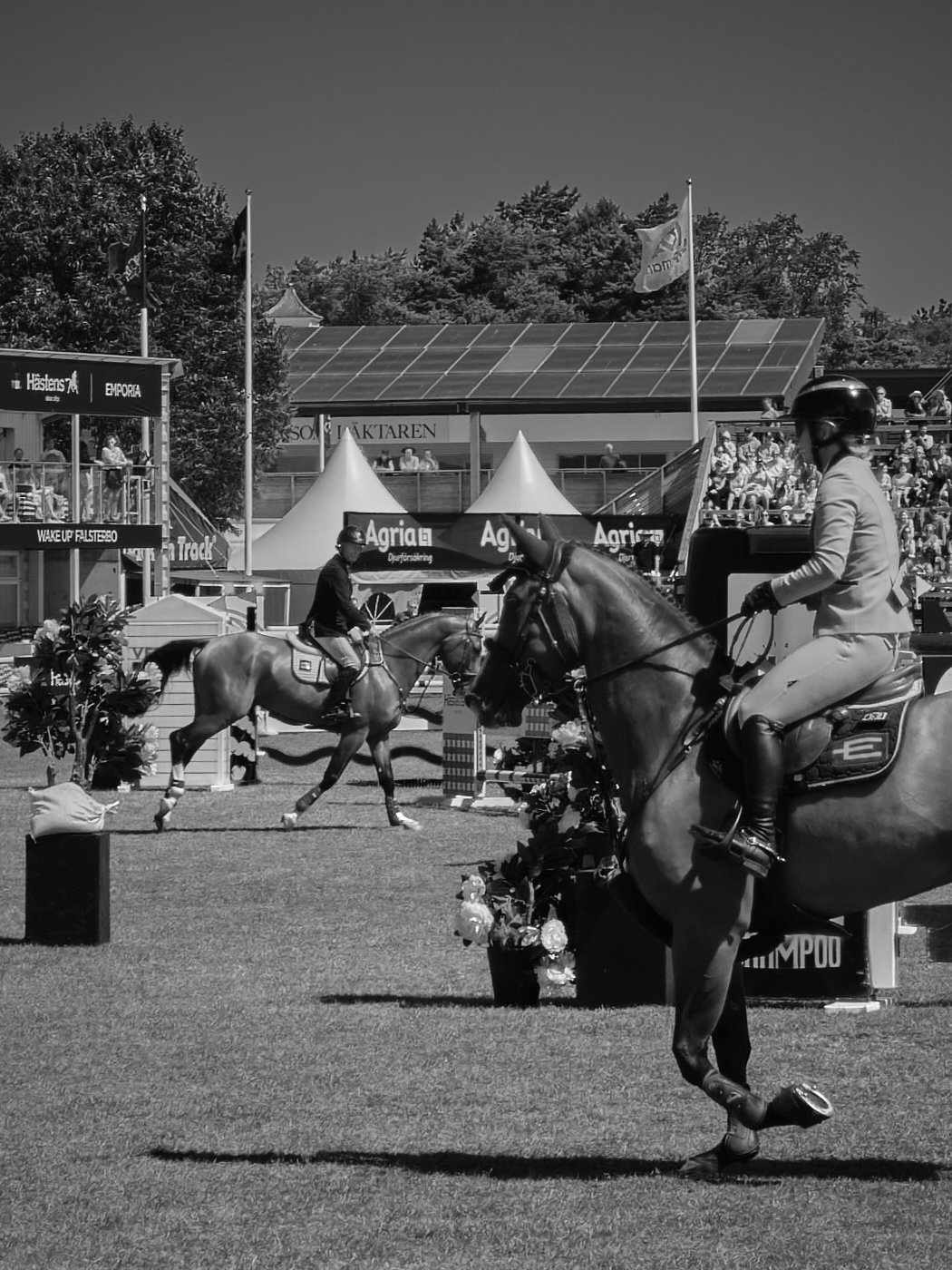 equestrian falsterbo horseshow