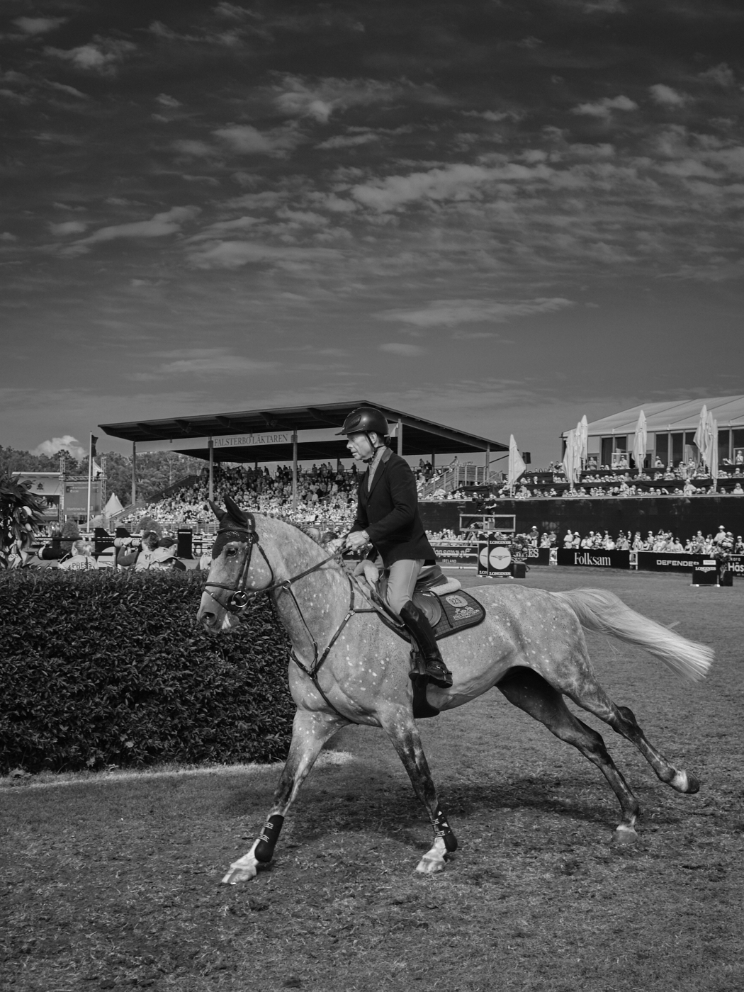 equestrian falsterbo horseshow